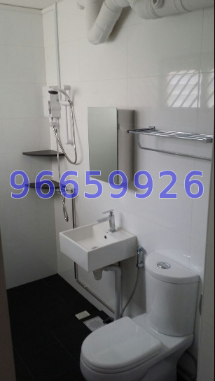 Blk 334 Serangoon Avenue 3 (Serangoon), HDB 5 Rooms #10244502